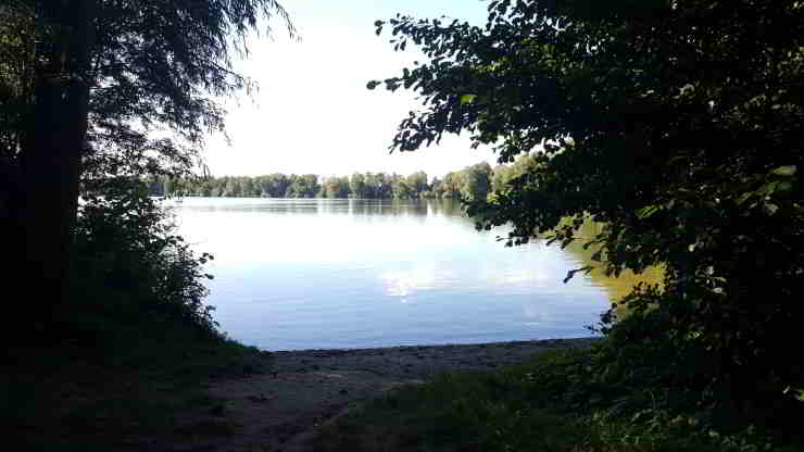 See im Großen Moor (Hörster See) bei Meckelfeld